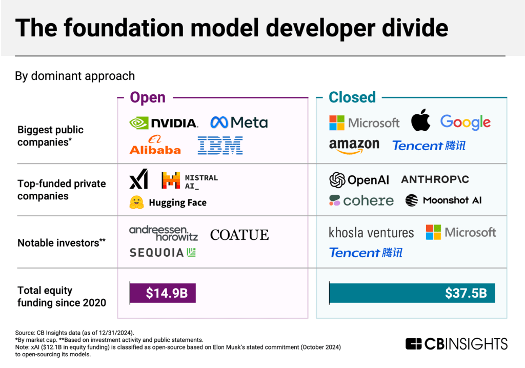 the foundation model developer divide