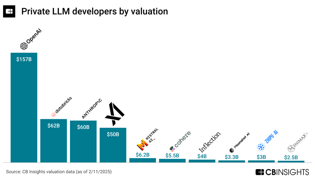 private llm developers by valuation