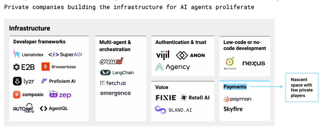 private companies building the infrastructure