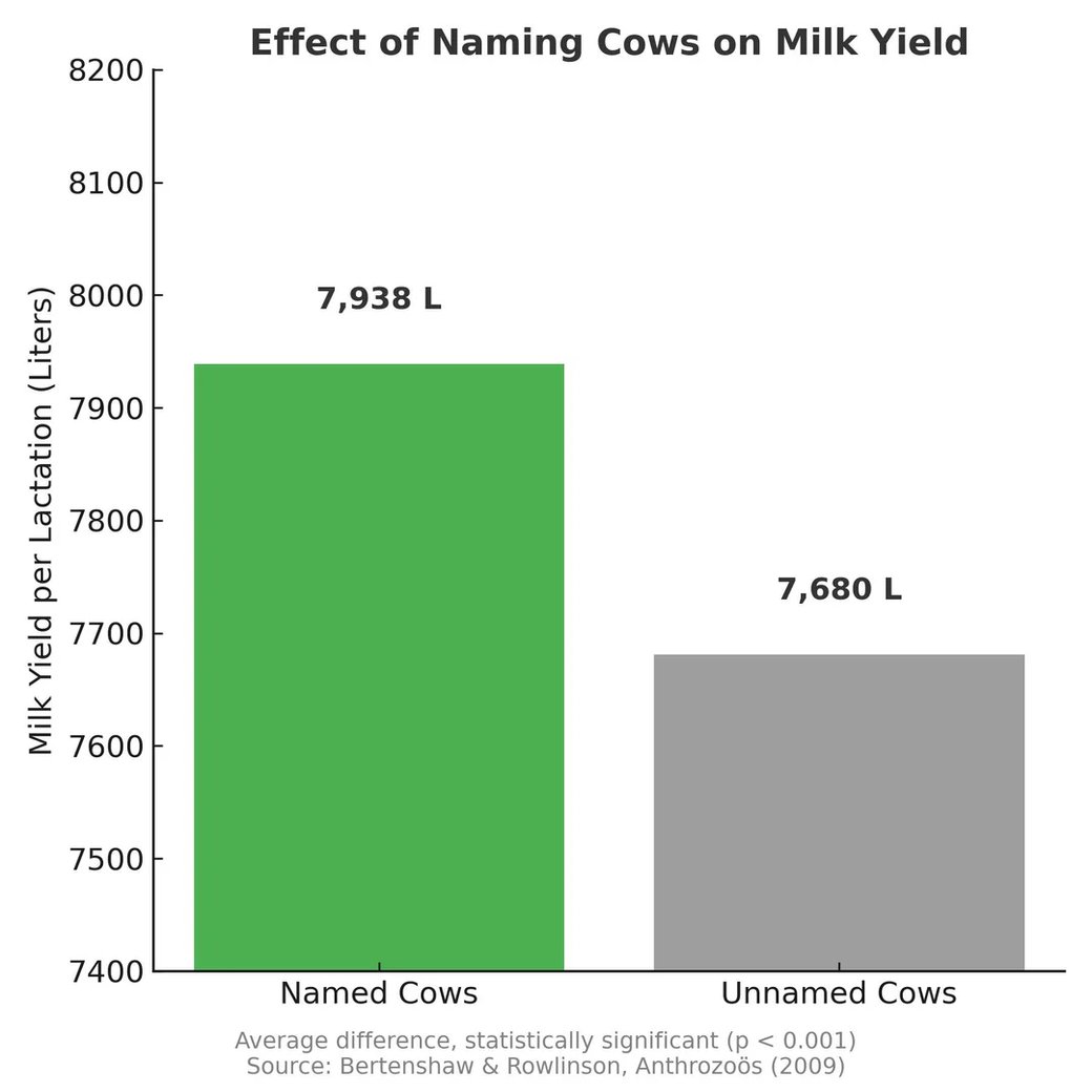 plus-1-effect-of-naming-cows-milk