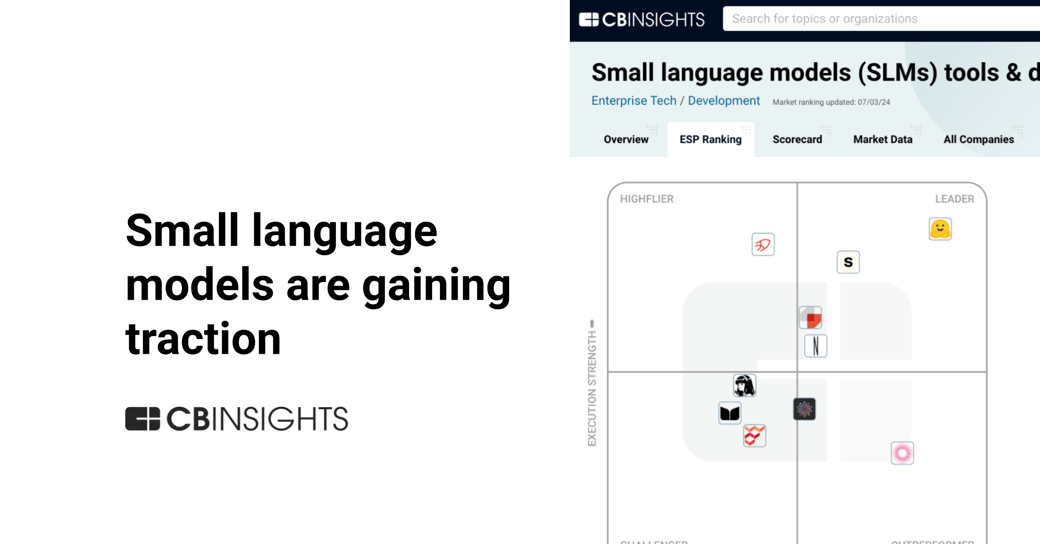 small language model FI